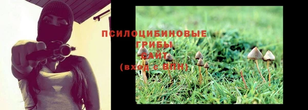 хмурый Вяземский
