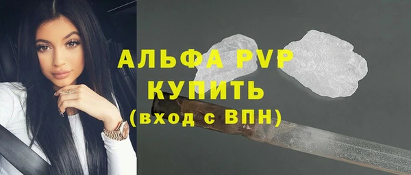 хмурый Вяземский