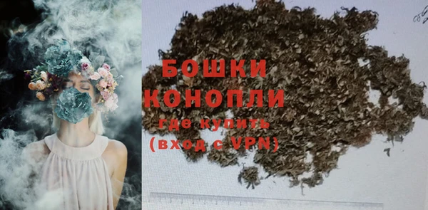 хмурый Вяземский