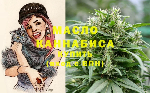 амф Вязьма