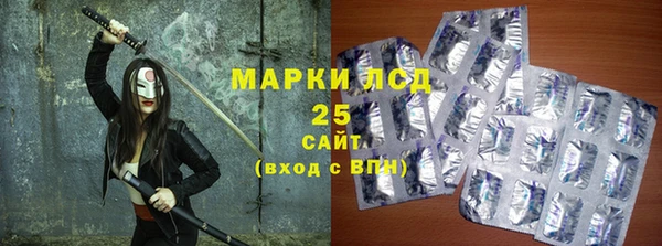хмурый Вяземский