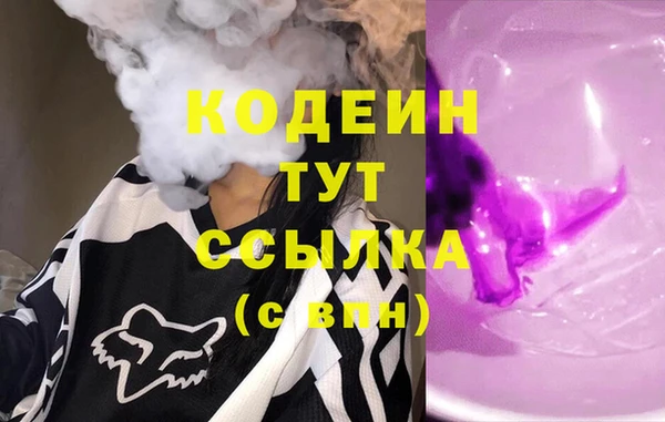хмурый Вяземский