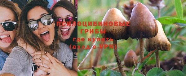 хмурый Вяземский