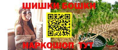 прущие грибы Малгобек