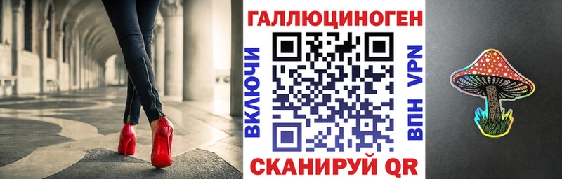 Псилоцибиновые грибы прущие грибы  Волхов 