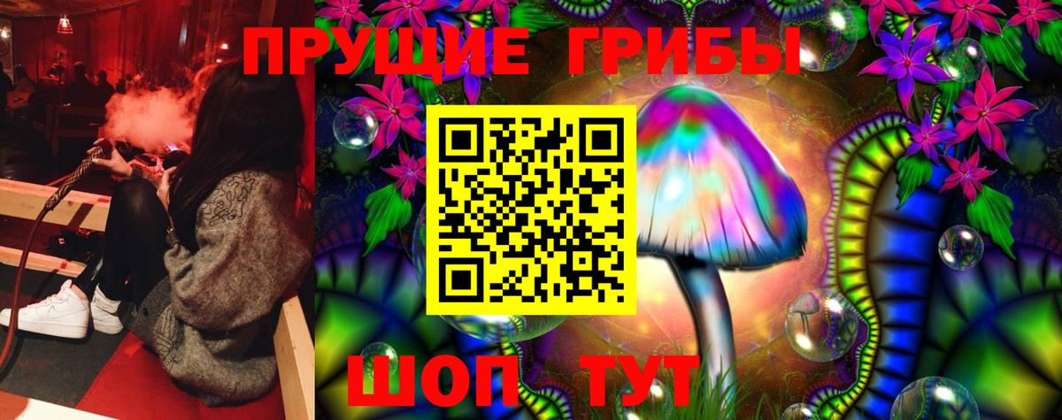 Псилоцибиновые грибы мухоморы Волхов