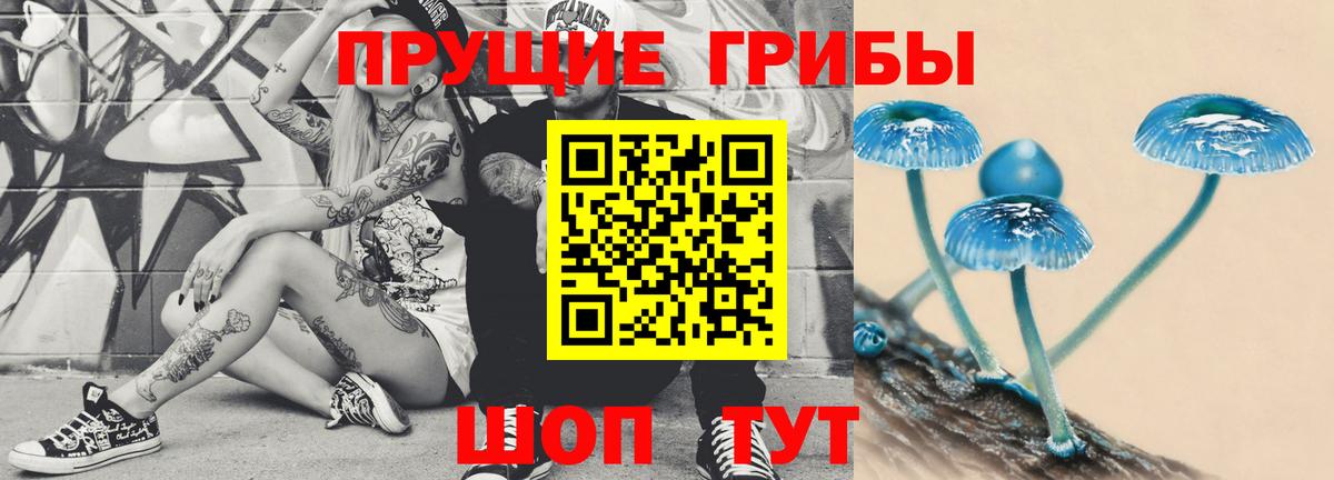 Волхов  Псилоцибиновые грибы ЛСД  Вход с VPN 