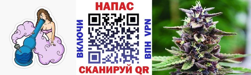 Канабис ГИДРОПОН Волхов